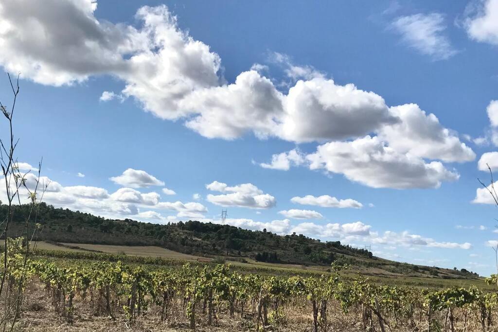 Appartement Le Jutini Caunes-Minervois Dış mekan fotoğraf